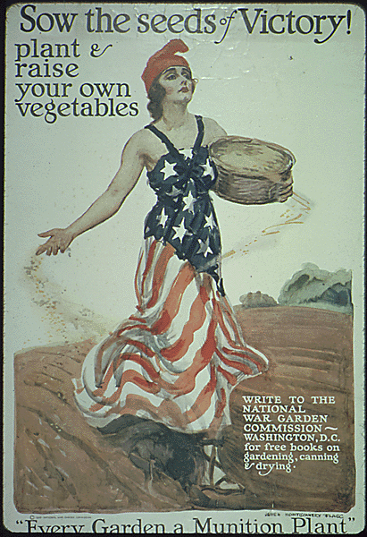 poster3.gif